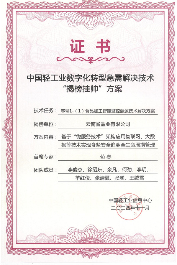 中國輕工業(yè)數(shù)字化轉(zhuǎn)型領跑者案例證書_00_副本.jpg